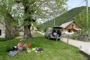 vignette